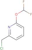 2-(Chloromethyl)-6-(difluoromethoxy)pyridine