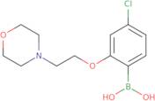 {4-Chloro-2-[2-(morpholin-4-yl)ethoxy]phenyl}boronic acid