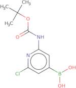 2-(t-Butoxycarbonylamino)-6-chloropyridine-4-boronic acid