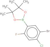 5-Bromo-4-chloro-2-fluorophenylboronic acid pinacol ester