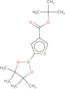 4-(t-Butoxycarbonyl)thiophene-2-boronic acid pinacol ester