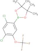 2,4-Dichloro-5-(trifluoromethoxy)phenylboronic acid, pinacol ester