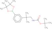 3-[2-(N-Boc-amino)-1,1-dimethyethyl]phenylboronic acid, pinacol ester