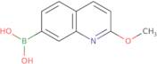 2-Methoxyquinoline-7-boronic acid