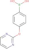 [4-(Pyrimidin-2-yloxy)phenyl]boronic acid