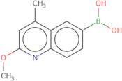 (2-Methoxy-4-methylquinolin-6-yl)boronic acid