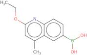 (2-Ethoxy-4-methylquinolin-6-yl)boronic acid