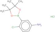 4-Chloro-3-(tetramethyl-1,3,2-dioxaborolan-2-yl)aniline hyrochloride