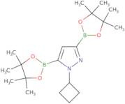 1-Cyclobutyl-1H-pyrazole-3,5-diboronic acid pinacol ester