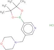 5-Morpholinomethylpyridine-3-boronic acid pinacol ester hyrochloride