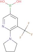 [6-(Pyrrolidin-1-yl)-5-(trifluoromethyl)pyridin-3-yl]boronic acid