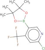 2-Chloro-4-(trifluoromethyl)pyridine-5-boronic acid pinacol ester