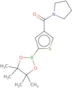 4-(Pyrrolidinocarbonyl)thiophene-2-boronic acid pinacol ester