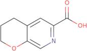 2H,3H,4H-Pyrano[2,3-c]pyridine-6-carboxylic acid