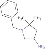 1-Benzyl-5,5-dimethylpyrrolidin-3-amine