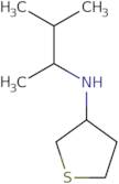 N-(3-Methylbutan-2-yl)tetrahydrothiophen-3-amine