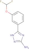 3-[3-(Difluoromethoxy)phenyl]-1H-1,2,4-triazol-5-amine