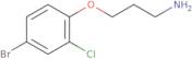 3-(4-Bromo-2-chlorophenoxy)propan-1-amine