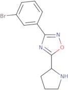 3-(3-Bromophenyl)-5-(pyrrolidin-2-yl)-1,2,4-oxadiazole