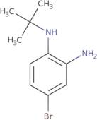 4-bromo-N1-tert-butylbenzene-1,2-diamine