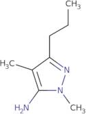 2,4-Dimethyl-5-propylpyrazol-3-amine