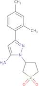 3-[5-Amino-3-(2,4-dimethylphenyl)-1H-pyrazol-1-yl]-1λ6-thiolane-1,1-dione