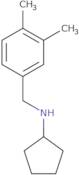 N-[(3,4-Dimethylphenyl)methyl]cyclopentanamine