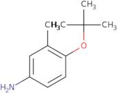 3-Methyl-4-[(2-methylpropan-2-yl)oxy]aniline