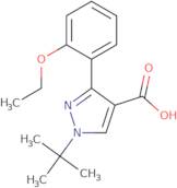 1-tert-Butyl-3-(2-ethoxyphenyl)-1H-pyrazole-4-carboxylic acid