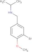 N-[(3-Bromo-4-methoxyphenyl)methyl]propan-2-amine