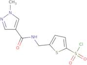 5-{[(1-Methyl-1H-pyrazol-4-yl)formamido]methyl}thiophene-2-sulfonyl chloride