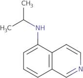 N-(Propan-2-yl)isoquinolin-5-amine