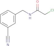 2-Chloro-N-[(3-cyanophenyl)methyl]acetamide