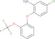 5-Chloro-2-[2-(trifluoromethoxy)phenoxy]aniline