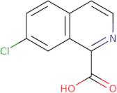 7-Chloroisoquinoline-1-carboxylic acid