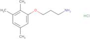 1-(3-Aminopropoxy)-2,3,5-trimethylbenzene hydrochloride