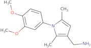 {[1-(3,4-Dimethoxyphenyl)-2,5-dimethyl-1H-pyrrol-3-yl]methyl}amine