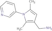 [(2,5-Dimethyl-1-pyridin-3-yl-1H-pyrrol-3-yl)methyl]amine