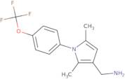 ({2,5-Dimethyl-1-[4-(trifluoromethoxy)phenyl]-1H-pyrrol-3-yl}methyl)amine