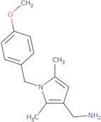 {[1-(4-Methoxybenzyl)-2,5-dimethyl-1H-pyrrol-3-yl]methyl}amine