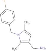 ([1-(4-Fluorobenzyl)-2,5-dimethyl-1H-pyrrol-3-yl]methyl)amine