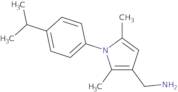 ([1-(4-Isopropylphenyl)-2,5-dimethyl-1H-pyrrol-3-yl]methyl)amine