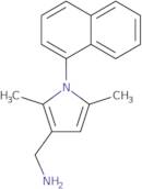 ([2,5-Dimethyl-1-(1-naphthyl)-1H-pyrrol-3-yl]methyl)amine