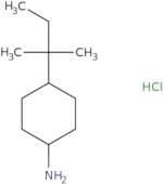 4-(2-Methylbutan-2-yl)cyclohexan-1-amine hydrochloride