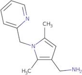 {[2,5-Dimethyl-1-(pyridin-2-ylmethyl)-1H-pyrrol-3-yl]methyl}amine