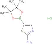 2-aminothiazole-5-boronic acid pinacol ester hcl