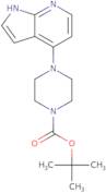 tert-Butyl 4-(1H-pyrrolo[2,3-b]pyridin-4-yl)-piperazine-1-carboxylate