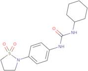 3-Cyclohexyl-1-[4-(1,1-dioxo-1,2-thiazolidin-2-yl)phenyl]urea