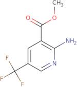 Methyl 2-amino-5-(trifluoromethyl)pyridine-3-carboxylate