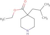 Ethyl 4-(2-methylpropyl)piperidine-4-carboxylate